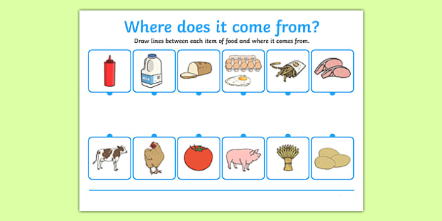 Where does this take you. Where does food come from Worksheet. Where does the food come from for Kids. Food comes from Worksheet. Food come from for Kids.